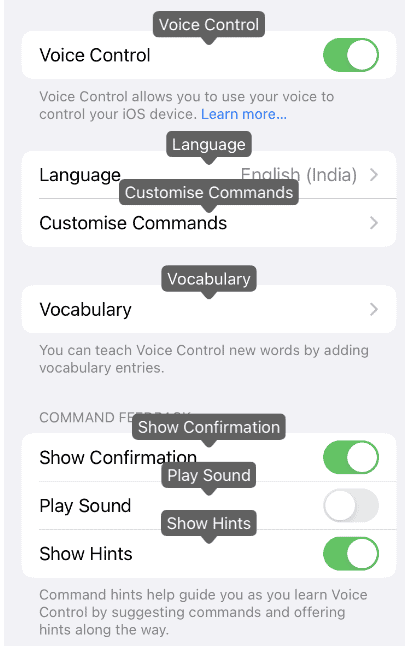 Voice Control settings screen of iOS device displaying the name of the respective items above them as a tooltip.