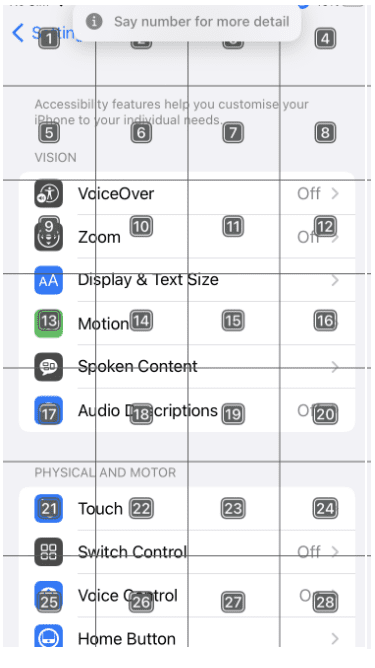 Accessibility settings screen of iOS device displaying numbered grid.